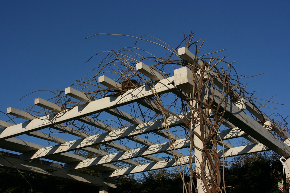 Dřevěná pergola zajistí na vlastní zahradě dostatek soukromí